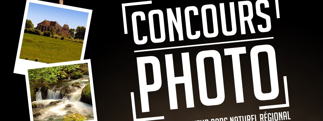 Affiche concours photo 2016