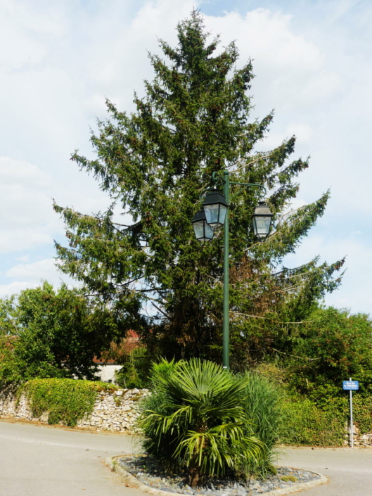 Montenils