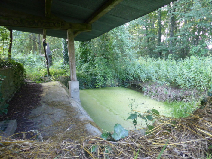 St Martin des Champs - lavoir perdu dans les bois